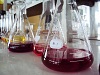 Figura_Laboratorio